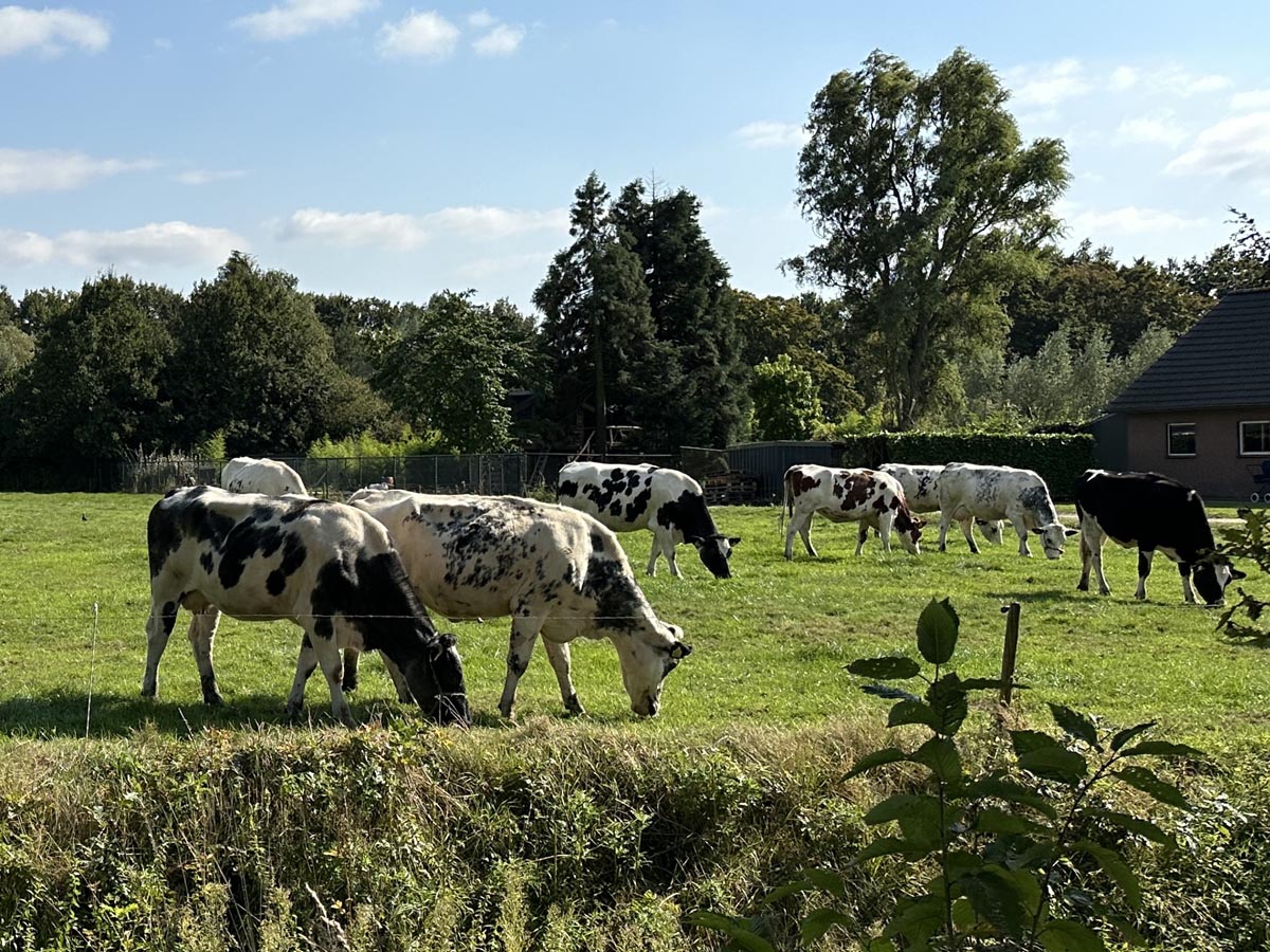 De Scheifelaar Landelijk Wonen